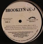 Brooklyn Zoo - Masters Of The Zooniverse (12”), Enlèvement ou Envoi, 1985 à 2000, Utilisé, 12 pouces