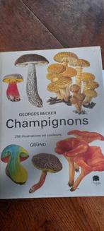 Champignons, 256 illustrations et couleurs, Livres, Nature, Enlèvement ou Envoi, Comme neuf, Autres sujets/thèmes