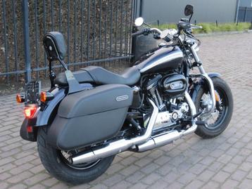 Harley davidson Sportster 1200 Custom