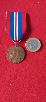 Medaille van 1919, het bezoek van de Franse president, Verzamelen, Verzenden, Landmacht, Lintje, Medaille of Wings