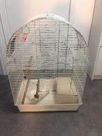 Cage pour perruches / oiseaux, Utilisé