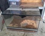 Terrarium, Dieren en Toebehoren, Reptielen en Amfibieën | Toebehoren, Ophalen, Zo goed als nieuw, Terrarium of Paludarium