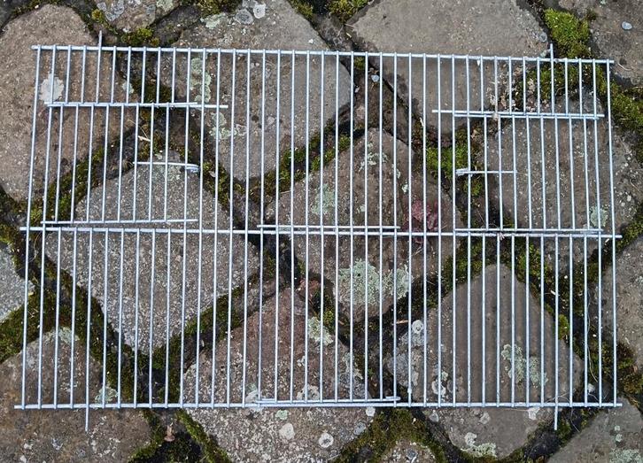 Voorfronten, Dieren en Toebehoren, Vogels | Kanaries