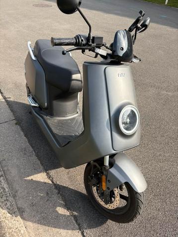 Niu N Sport klasse B, Ophalen, Elektrisch, NIU, Klasse B (45 km/u)
