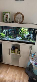Aquarium + toebehoren, Ophalen, Gebruikt