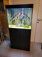 Lido 200 led en ondermeubel, Dieren en Toebehoren, Ophalen, Leeg aquarium