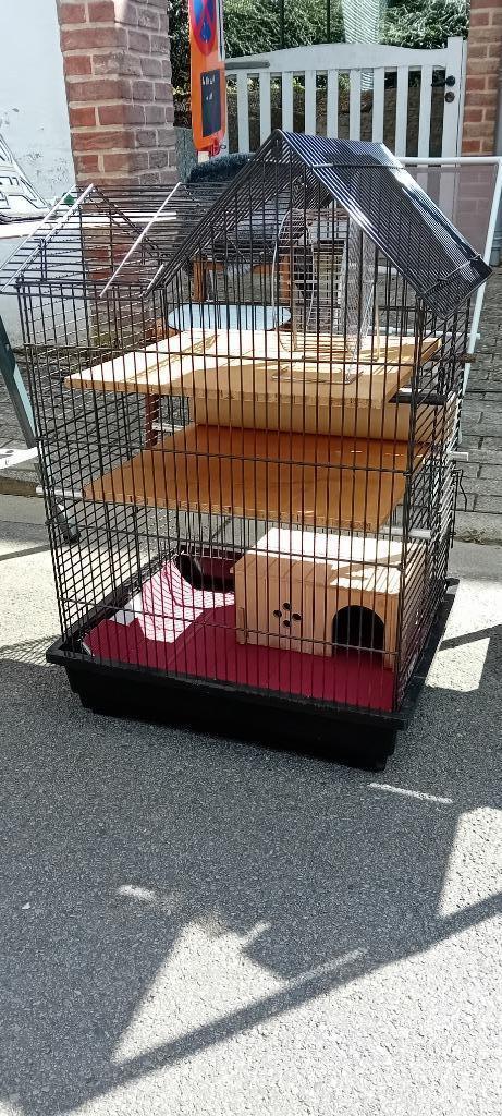 Cage pour rongeurs, Dieren en Toebehoren, Overige Dieren-accessoires, Gebruikt, Ophalen of Verzenden