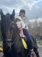 Friese merrie, Dieren en Toebehoren, Paarden, Merrie