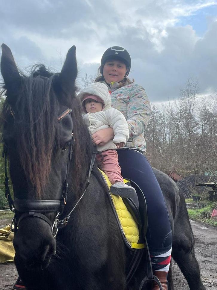 Friese merrie, Dieren en Toebehoren, Paarden, Merrie