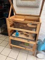 Grote kooi met 3 hamsters, Dieren en Toebehoren, Ophalen, Zo goed als nieuw, Kooi