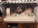 Hamster met kooi + asesoicer, Kooi, Gebruikt, Hamster, 75 tot 110 cm
