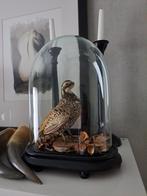 stolp met opgezette kwartel, Ophalen, Gebruikt