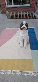 Grote mat in goede staat GRATIS, Maison & Meubles, Canapés | Coins salons complets, Enlèvement