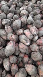 voederbieten te koop, Zakelijke goederen, Landbouw | Veevoer, Ophalen