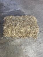 Kleine balen hooi te koop, Dieren en Toebehoren, Ophalen of Verzenden