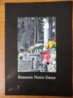 Carte Postale Banneux Notre Dame 14531, Verzamelen, Ophalen of Verzenden