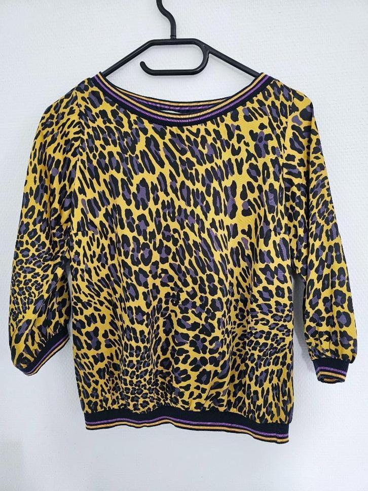 truitje met luipaardmotief, Kleding | Dames, T-shirts, Gedragen, Maat 42/44 (L), Overige kleuren, Lange mouw, Ophalen of Verzenden