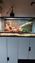 Terrarium, Ophalen of Verzenden, Verlichting, Zo goed als nieuw