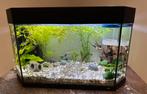 Aquarium juwel led complet ( le meuble est en vente aussi ), Ophalen, Gebruikt, Leeg aquarium