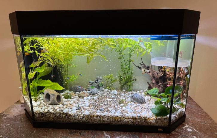 Aquarium juwel led complet ( le meuble est en vente aussi ), Animaux & Accessoires, Poissons | Aquariums & Accessoires, Utilisé