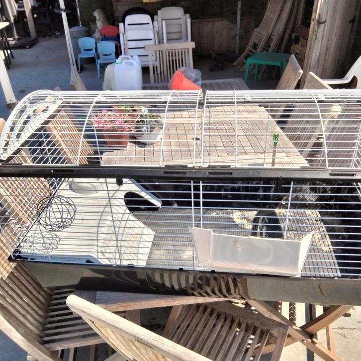 Konijnen kooi groot, Dieren en Toebehoren, Knaagdieren en Konijnen | Hokken en Kooien, Zo goed als nieuw, Kooi, 60 tot 90 cm, 110 cm of meer