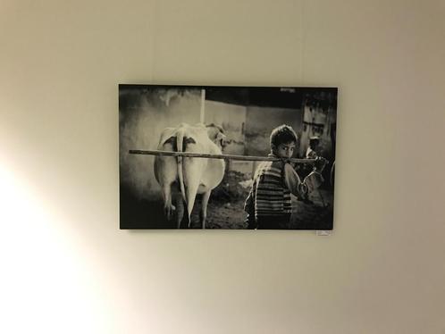 Kunstfotografie Foto's INDIA metalprint, Antiek en Kunst, Kunst | Tekeningen en Fotografie, Ophalen