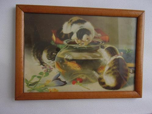 Frame met katten, Huis en Inrichting, Woonaccessoires | Lijsten, Zo goed als nieuw, Minder dan 50 cm, Minder dan 50 cm, Hout, Ophalen of Verzenden