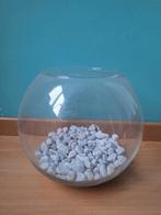 Visbokaal + netje, Dieren en Toebehoren, Ophalen, Gebruikt, Leeg aquarium