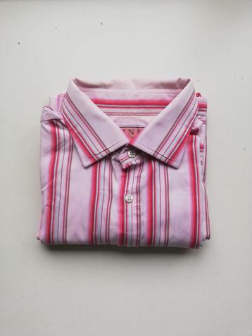 Thomas roze Engels shirt  beschikbaar voor biedingen