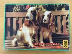 Puzzel hondjes (48 stuks), Kinderen en Baby's, Speelgoed | Kinderpuzzels, Ophalen of Verzenden, 10 tot 50 stukjes, Gebruikt, 4 tot 6 jaar