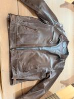 Leren herenhas M Gregor, Kleding | Heren, Jassen | Zomer, Ophalen, Bruin, Maat 56/58 (XL), Mc Gregor