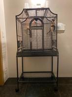 Cage volière oiseaux, Dieren en Toebehoren, Vogels | Hokken en Kooien, Ophalen, Gebruikt, Metaal, Volière