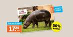 4 x Zoo ah ticket, Tickets & Billets, Loisirs | Parcs d'attractions, Trois personnes ou plus, Ticket ou Carte d'accès