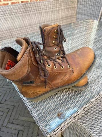 Mooie botinnen harley beschikbaar voor biedingen