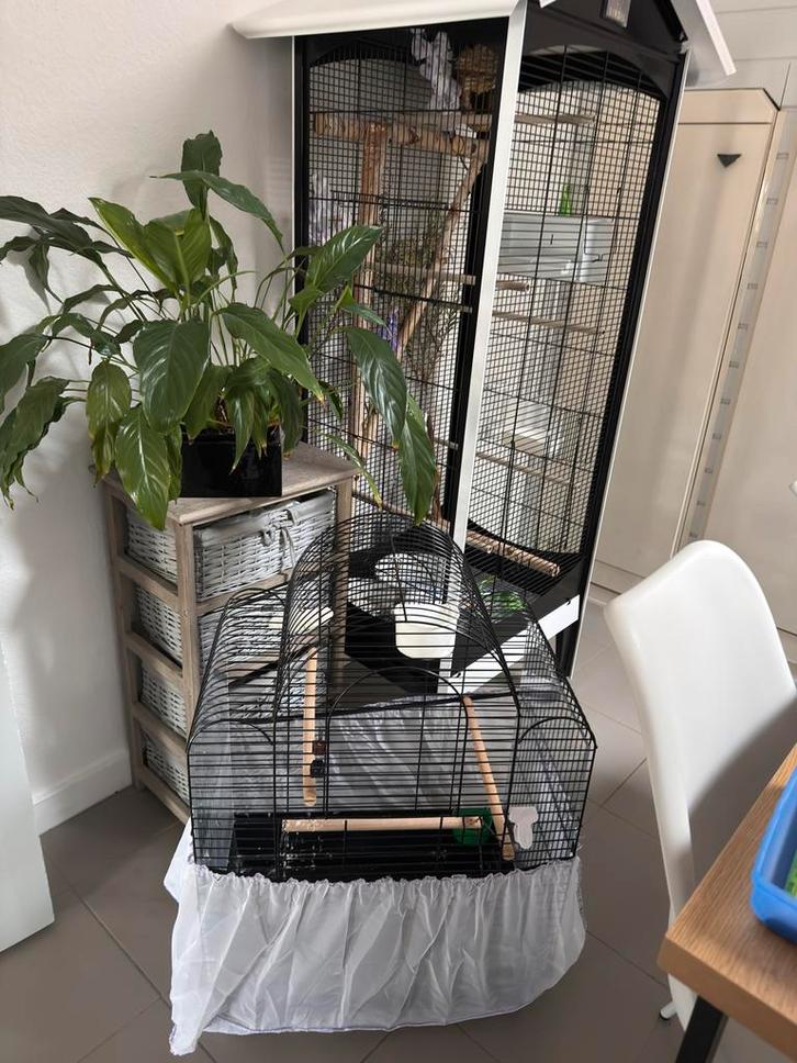 Prachtige vogelkooi met accessoires – bijna nieuw!, Dieren en Toebehoren, Vogels | Toebehoren, Zo goed als nieuw, Ophalen