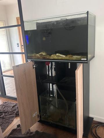 Aquarium  beschikbaar voor biedingen