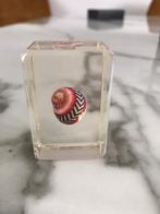 Coques en époxy par 100, Neuf, -, Onbekend (uit veiling), -