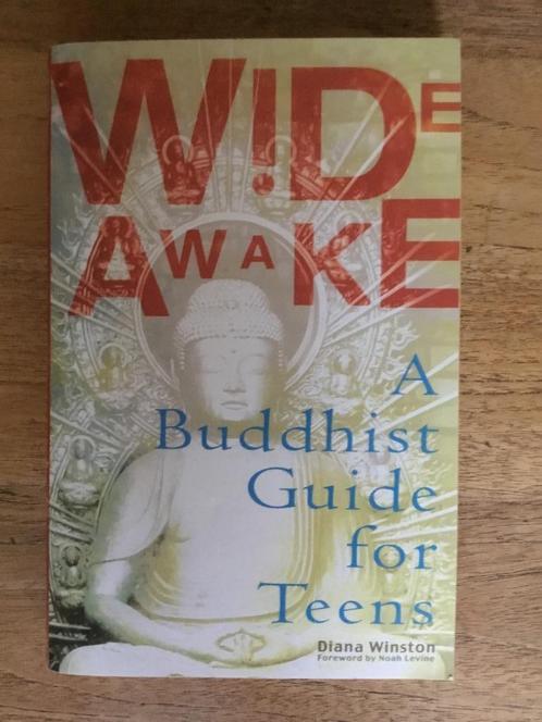 Wide Awake. A Buddhist Guide for Teens - Diana Winston, Boeken, Kinderboeken | Jeugd | 13 jaar en ouder, Gelezen, Non-fictie, Ophalen of Verzenden