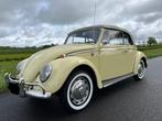 kever cabrio 1966 originele staat, Autos, Achat, Cabriolet, Autres couleurs, 2 portes