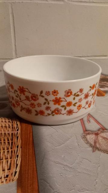 Saladier Arcopal Scania  beschikbaar voor biedingen