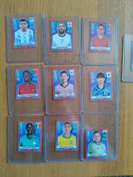 Panini WK Qatar USA edition rode en paarse randen stickers, Ophalen of Verzenden, Zo goed als nieuw