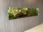 Aquarium, Ophalen, Zo goed als nieuw
