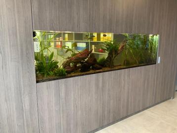 Aquarium beschikbaar voor biedingen