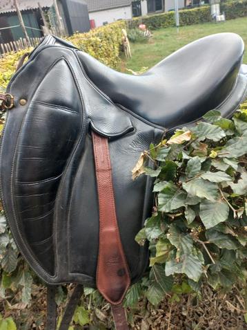 Gaston Mercier Doline 17 inch 27 boom beschikbaar voor biedingen
