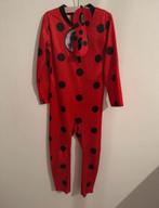 Verkleedpak LadyBug, Ophalen of Verzenden, Gebruikt, 110 t/m 116, Meisje