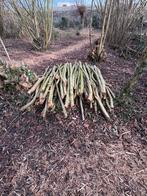 Brandhout, Tuin en Terras, Ophalen