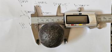 Fossiel dinosaurus Ei Paraspheroolithus beschikbaar voor biedingen