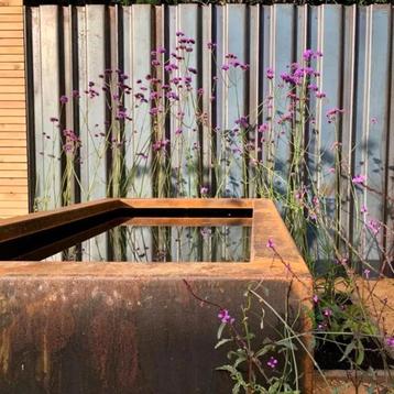 Vijverbak Cortenstaal | Rechthoek | Vierkant | Aluminium beschikbaar voor biedingen