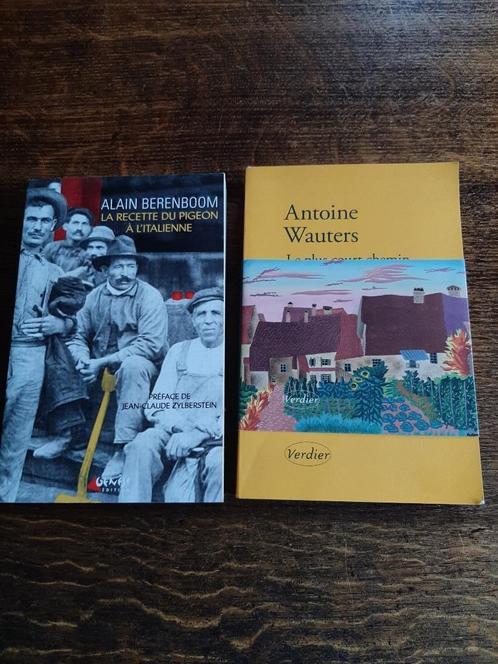 Romans:: Alain Berenboom et Antoine Wauters, Boeken, Romans, Zo goed als nieuw, Ophalen of Verzenden