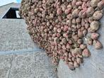 Voederbieten te koop Gistel, Dieren en Toebehoren, Dierenvoeding, Ophalen